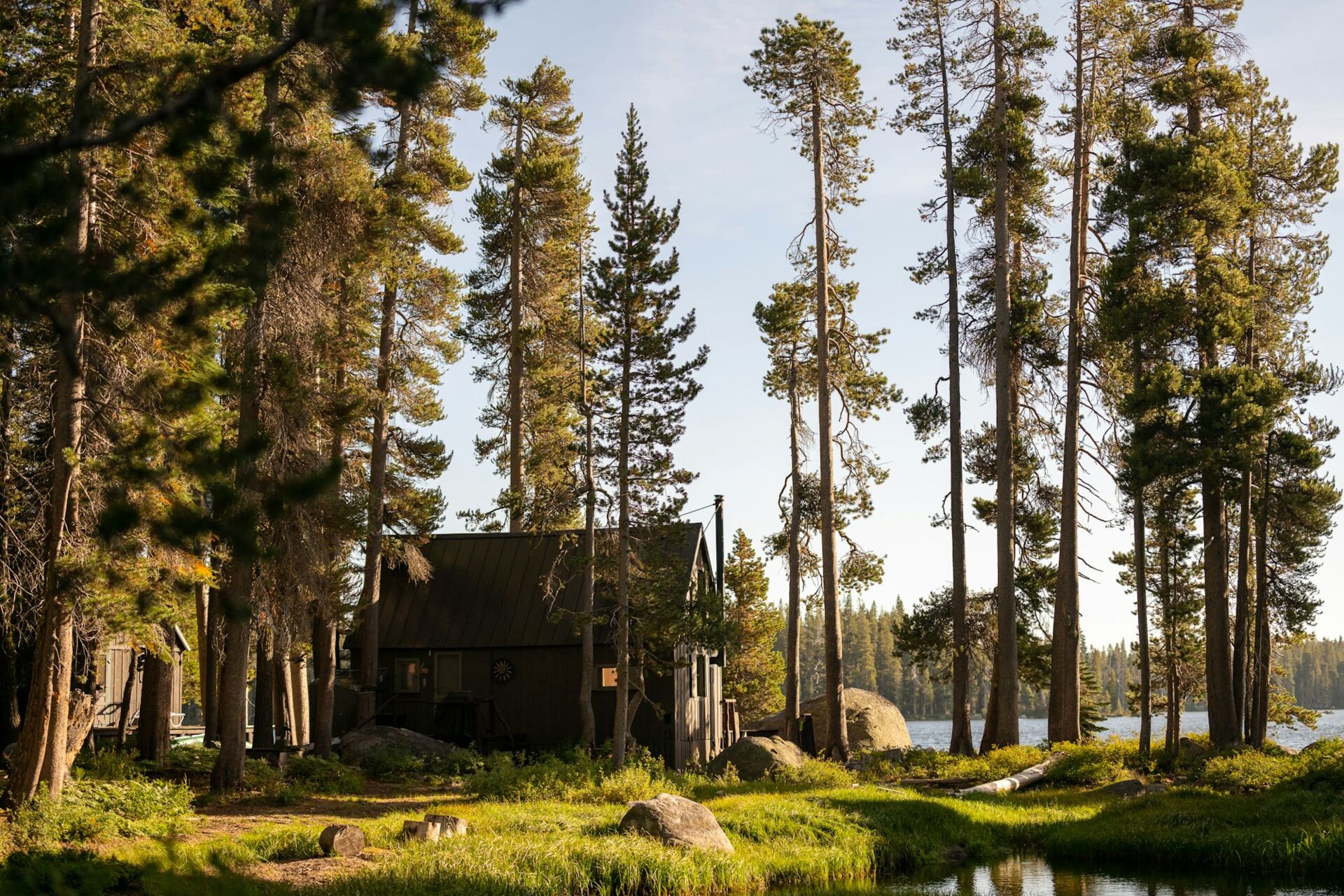 Home & cabin Cabin among tall pines beside a lake