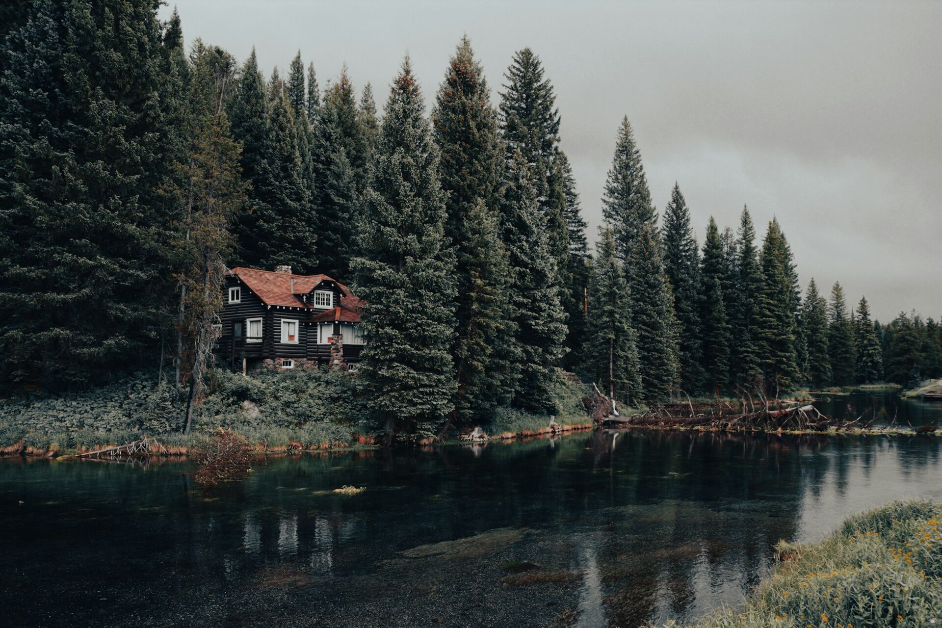 Wooden house among tall fir trees at the edge of a lake